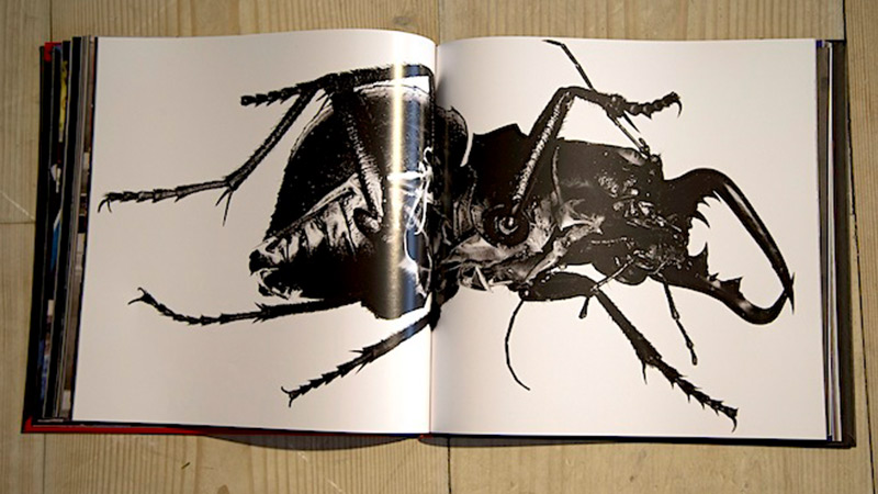 3d_massive_attack_5_dr