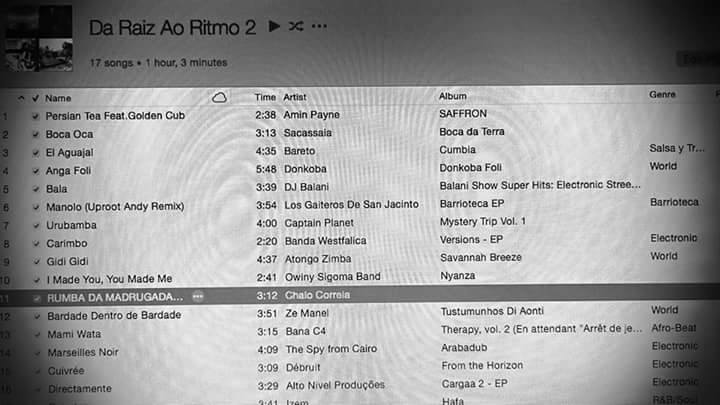 da_raiz_ao_ritmo_2_dr
